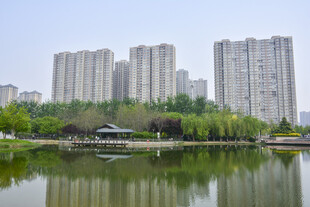 湖畔高楼与绿意景观