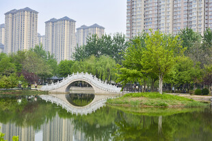 城市湖畔的拱桥风景