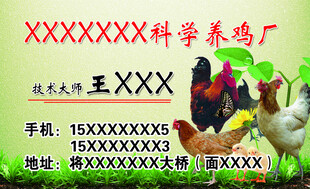 科学养鸡场名片