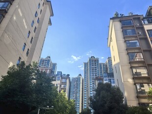 城市高楼间的绿树蓝天