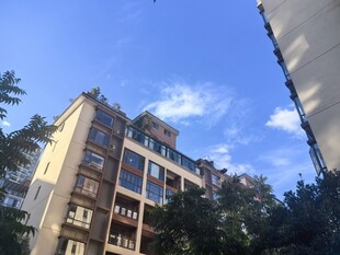 多层住宅与蓝天绿树景观