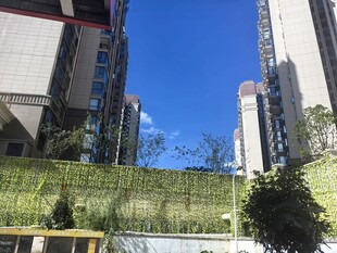 城市高楼间的绿植景观