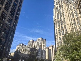 城市高楼与蓝天绿树景观