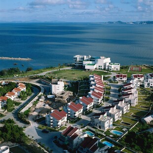 海滨住宅区鸟瞰美景