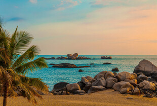 海边落日下的椰树与礁石