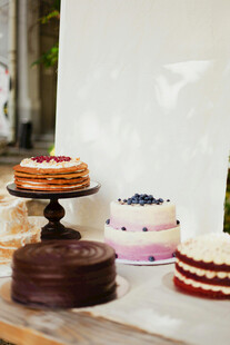 多样美味蛋糕展示