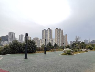 城市公园中的高楼景观