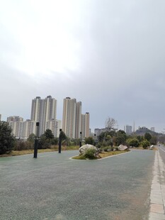 城市公园旁的现代建筑群