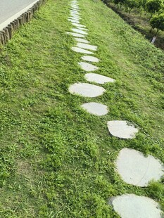 草地中的圆形石板小径