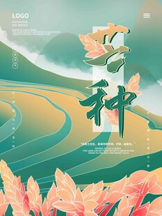 芒种 