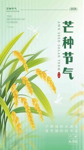 芒种 