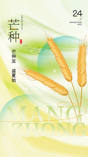 芒种 