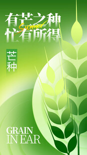 芒种