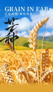 芒种 