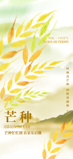 芒种 