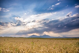 广袤田野与远处山峦景观