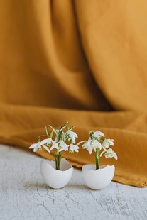 白色花盆中的清新小花