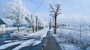 冬日雪景中的宁静小路