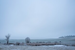 冬日旷野雪景