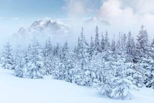冬日雪覆山林美景