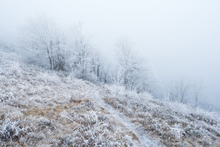 雪覆山坡