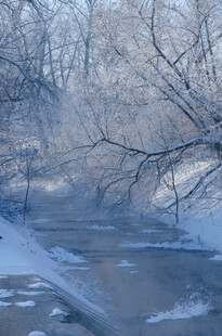 冬日冰封河岸雪景图