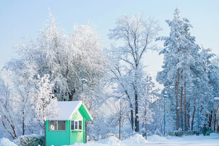 冬日雪林中小屋美景