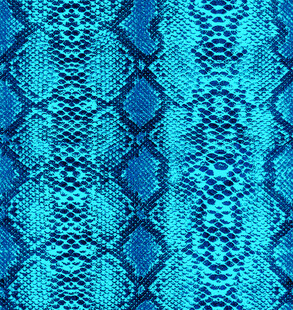 蓝绿色蛇皮纹理图案