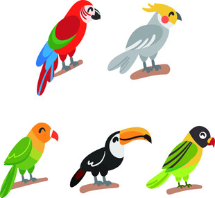 多彩鹦鹉鸟类素材集合