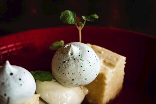 精致甜点配绿植装饰