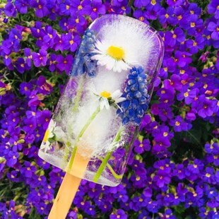 花漾冰棍