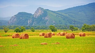田野麦垛与远山美景