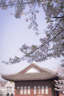 中式古建筑一角