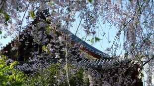 古建一角