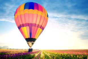 空中热气球飞越绚烂花田