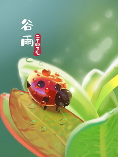 谷雨后瓢虫栖于绿叶间