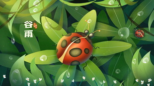 绿叶上的瓢虫与雨滴