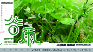 谷雨夏日清荷绿意盎然