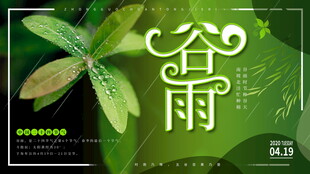 谷雨时节清新自然景象