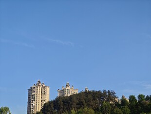 高楼矗立在葱郁山林之上