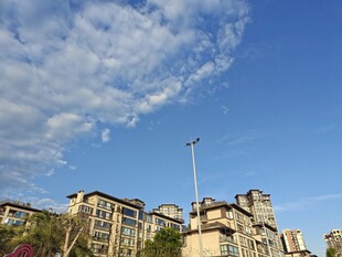 蓝天映衬下的城市建筑群