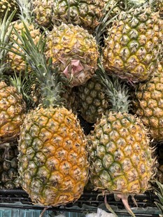 新鲜饱满的菠萝堆叠