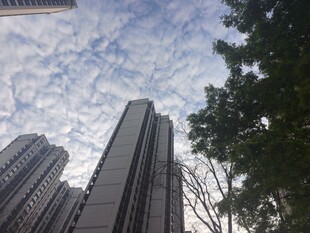 城市高楼与蓝天白云景观