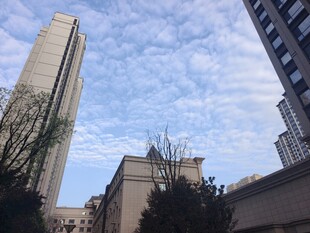 城市高楼与蓝天白云景观