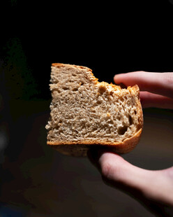 手持全麦面包特写