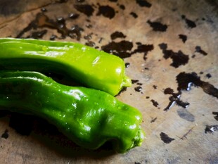 青椒