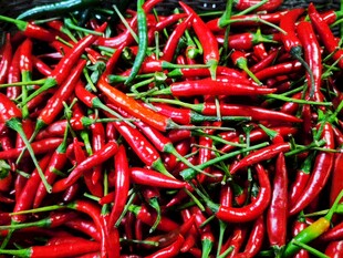 红辣椒