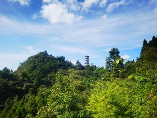 青山绿树间的秀丽景致