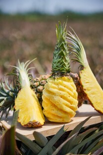 新鲜诱人的菠萝摆放在木盘上