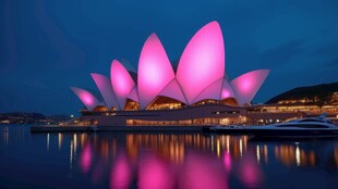夜色中粉色灯光的悉尼歌剧院